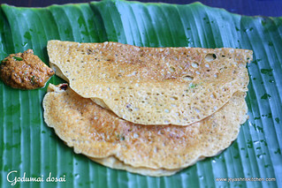 wheat dosai