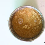 Quinoa curd