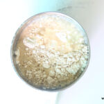 Chapati dough